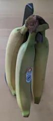 Banana stand
