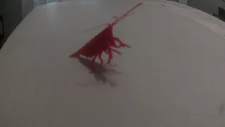 articulated shrimp