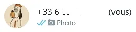 Image preview