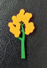 Mimosa Flower
