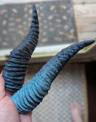 Dragon Horns