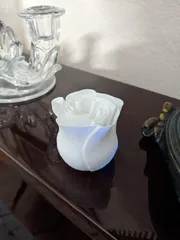 Spiral Vase Rose