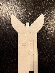 Moire Vernier Radius Gauge