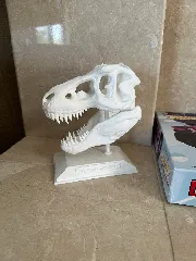 T-Rex Skull