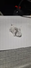 Springy Bunny