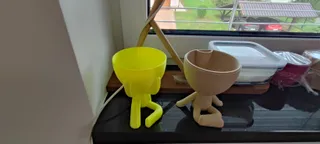 Hydroponic, Self-Watering, Seeds starter, Robert Planters