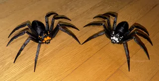 Spider: print in place AND tight!