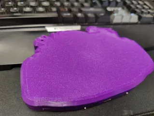 MCH2022 badge housing