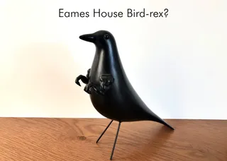 Eames House Bird Rex