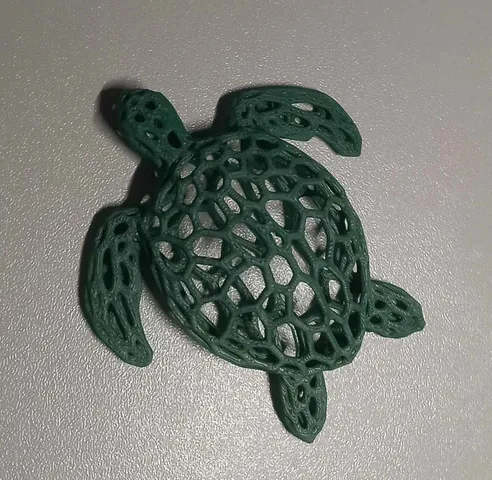 Voronoi Turtle (Medium pattern) by Far North 3D Printing Services ...