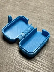 Toothbrush Travel Case