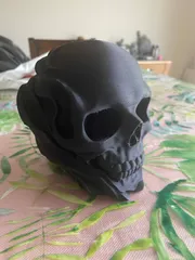 Skull Modern Decor Figurine
