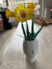 Bouquet of Easter Daffodils