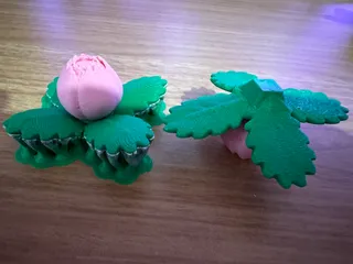 Ivysaur Multicolor
