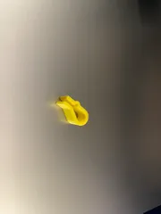 Filament Clip