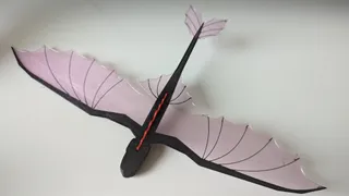 Flying Night Dragon