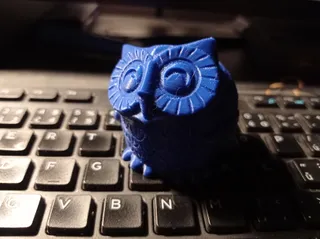 Smiling Owl
