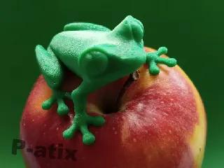 TREEFROG
