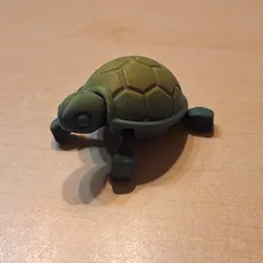 Cutie Baby Turtle