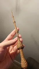 The Elder Wand - Harry Potter