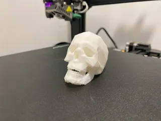 Low Poly Skull