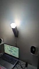 Torch light