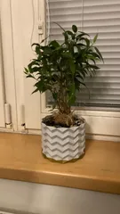 Gerometric Origami Flower Pot and Planter for Plants