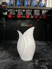 Tulipa Vase