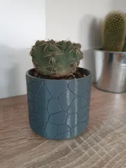 Vase #3 - curved Stone Pattern