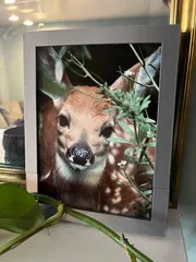 5x7 Picture Frame for Prusa MINI