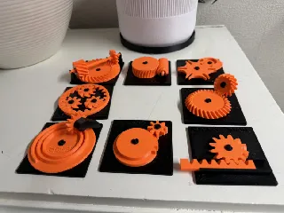 Educational Gear Examples 2