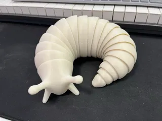 Huge (Curled up) Friendly Articulated Slug