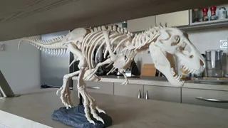 T-Rex Skeleton fixed and printable