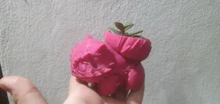 Bulbasaur - realistic