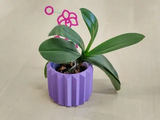 PLANT POT