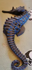 Seahorse symetric magnets