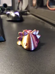 baby axolotl