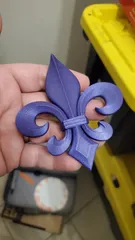 Fleur-de-lis - French Lily
