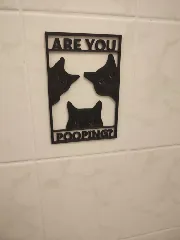 Cat Bathroom Sign - Are you pooping?