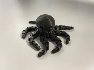 Cute Mini Octopus