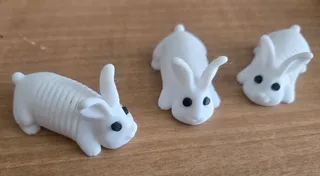 Springy Bunny