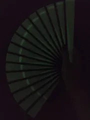 Collapsible Hand Fan (print in place)