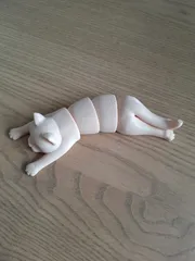 Flexi cat