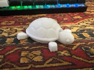 Cutie Baby Turtle
