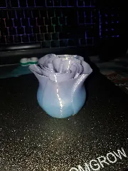 Spiral Vase Rose