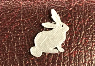 Bunny Token