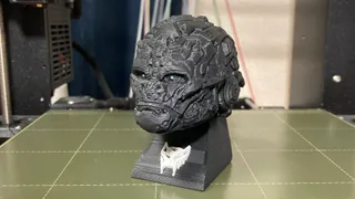 Optimus Primal