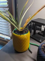 Helical Self Watering Planters