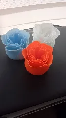 Spiral Vase Rose