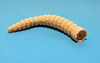 Dune Flexi Sandworm. Print in Place. Support Free.